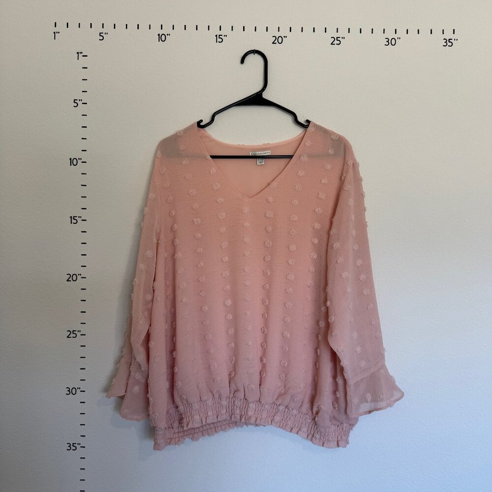 18/20 (2X) Cato Light Pink Blouse
